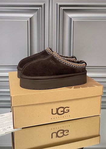 Ugg tazz terlik