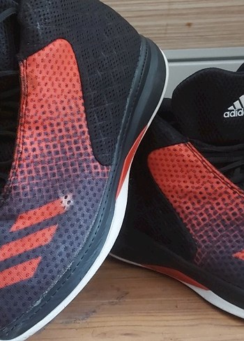 Adidas 43