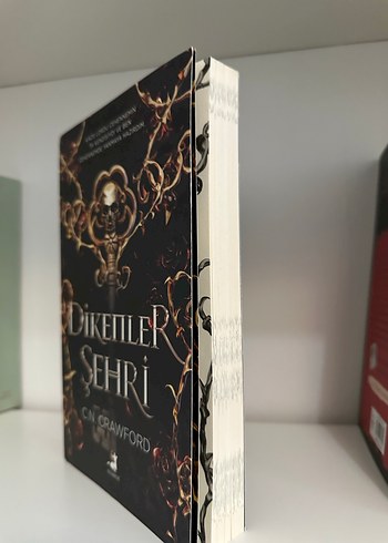 Dikenler Şehri - C.N. Crawford