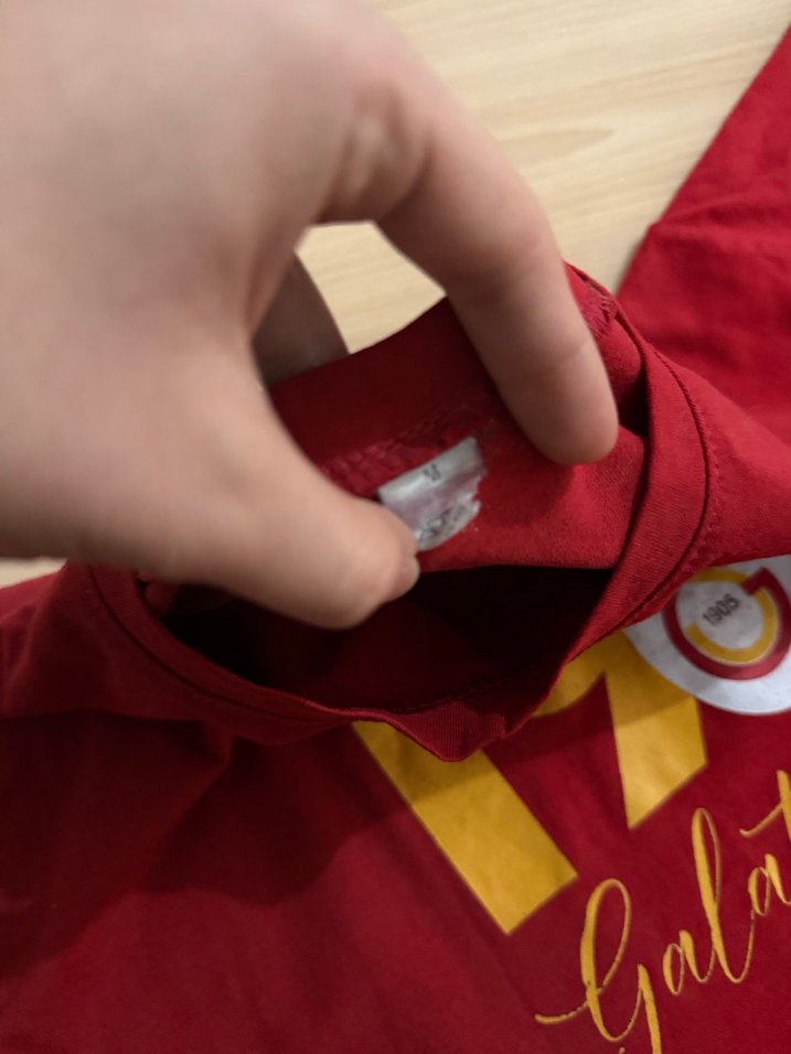 Baskılı Erkek Tişört 1905 Galatasaray - Görsel 3