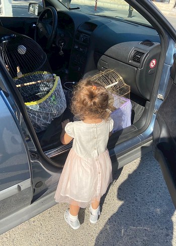 Lome Baby Tütülü Elbise - Görsel 8