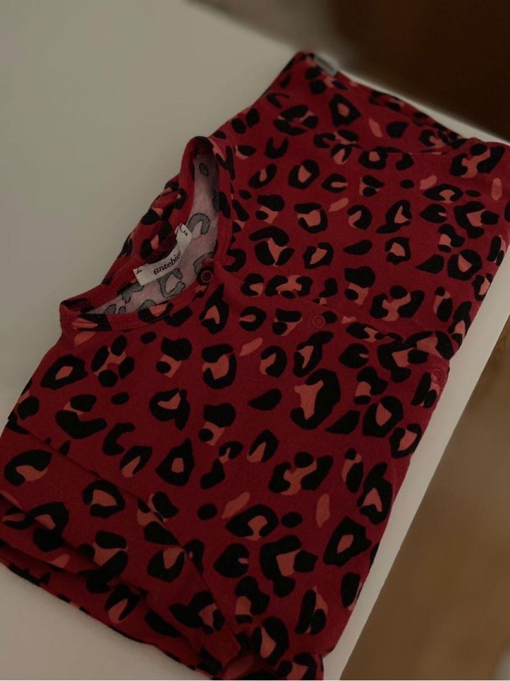 Antebies Organik Tulum - Görsel 3