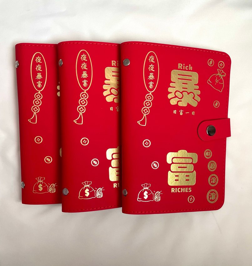 Birikim Ajandası Bütçe Planlayıcı - Görsel 2