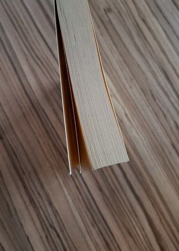 Altın Bilek - Stephen Curry'nin Yükselişi - Görsel 4