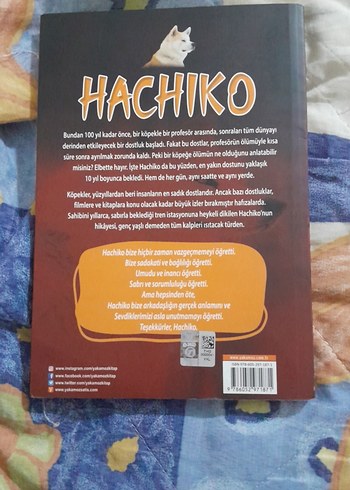 Hachiko - Bir Köpeğin Hikayesi - Görsel 2