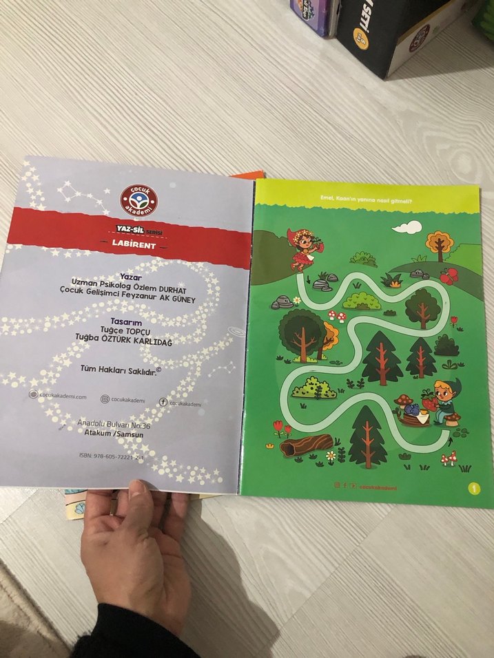 Yaz-Sil Serisi 2-4 Yaş Labirent ve Dikkat Kitapları - Görsel 2