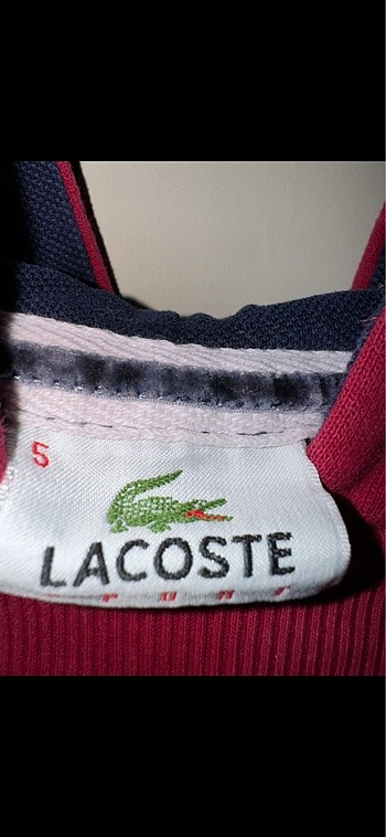 m Beden Lacoste