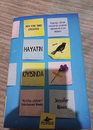 Hayatın kıyısında kitap