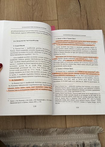Bireysel İş Hukuku - Prof. Dr. Emine Tuncay Şenyen Kaplan