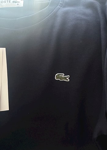 Lacoste Uzun kollu bayan - Görsel 4