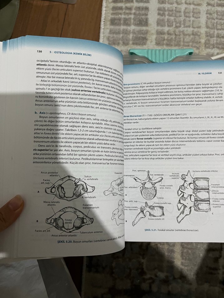 Resimli Sistematik Anatomi - Prof. Dr. Mehmet Yıldırım - Görsel 4