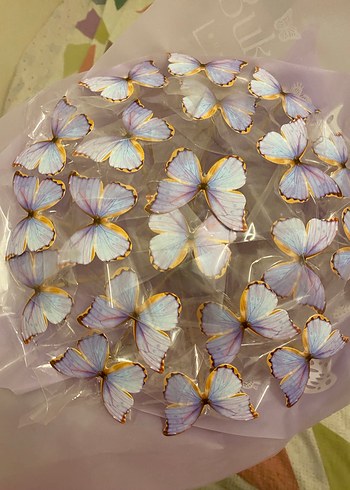 Mor Şeffaf Kelebek Desenli Broş - Görsel 3