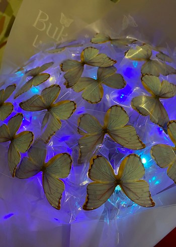 Mor Şeffaf Kelebek Desenli Broş - Görsel 5