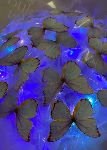 Mor Şeffaf Kelebek Desenli Broş - Görsel 4