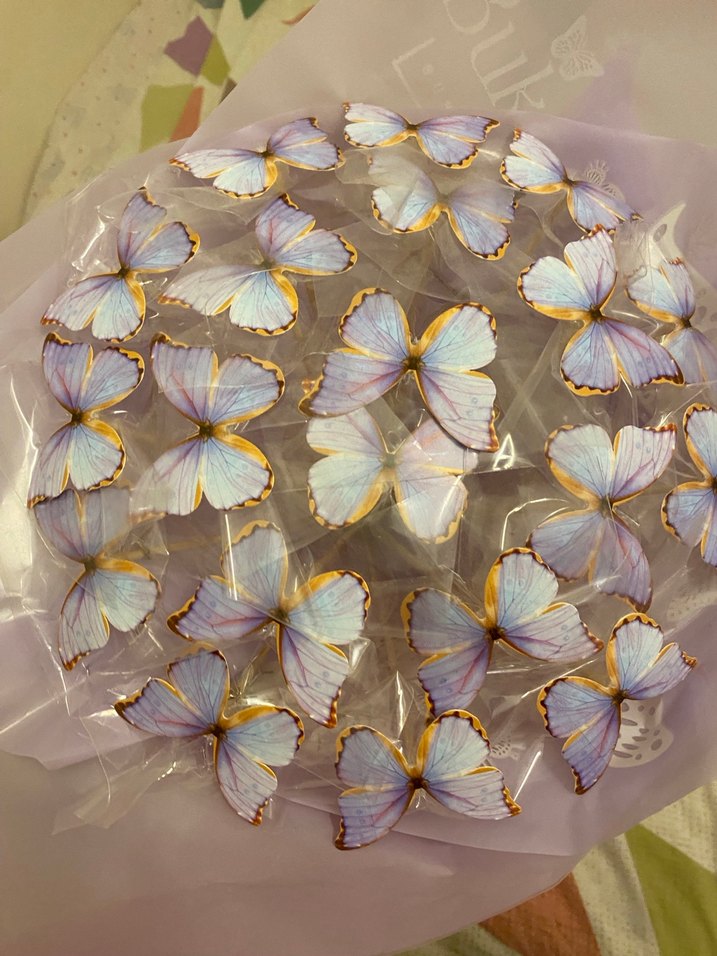 Mor Şeffaf Kelebek Desenli Broş - Görsel 3