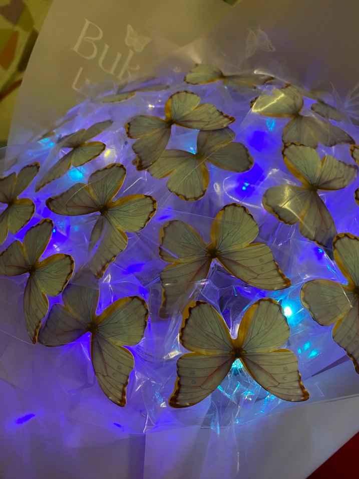 Mor Şeffaf Kelebek Desenli Broş - Görsel 5