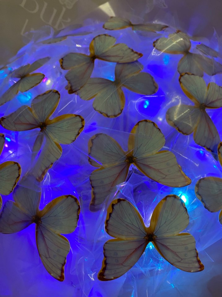 Mor Şeffaf Kelebek Desenli Broş - Görsel 4