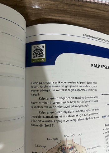 İç Hastalıkları Hemşireliği Klinik Uygulama Rehberi - Görsel 3