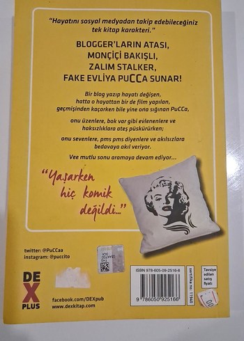 Pucca Günlük 5 - O Adam Buraya Gelecek - Görsel 4