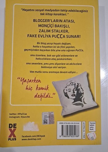 Pucca Günlük 5 - O Adam Buraya Gelecek - Görsel 3