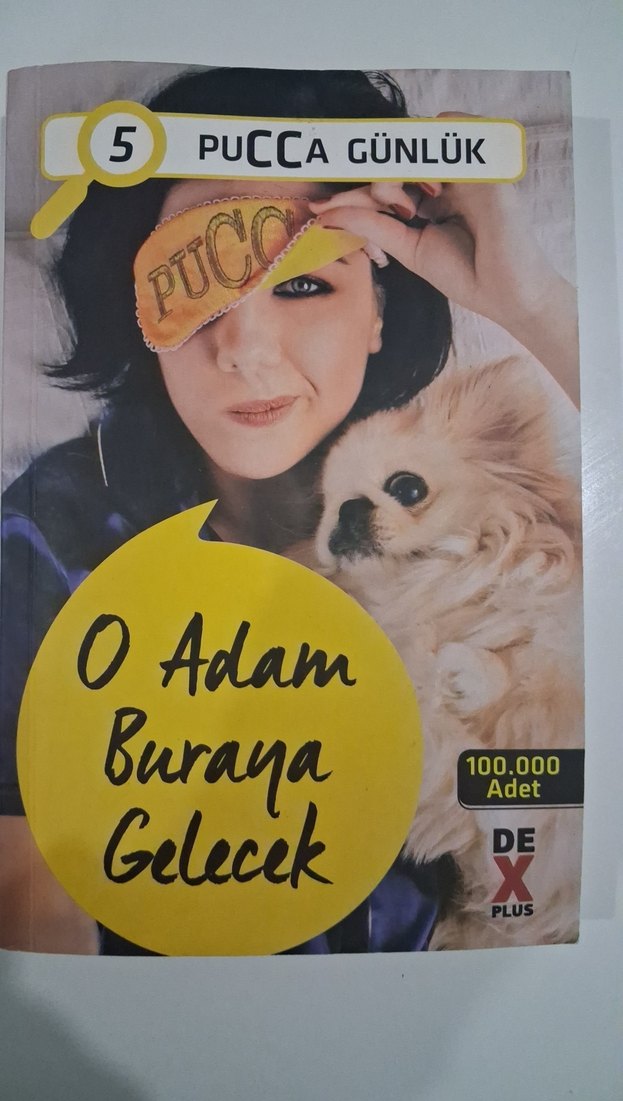 Pucca Günlük 5 - O Adam Buraya Gelecek - Görsel 2
