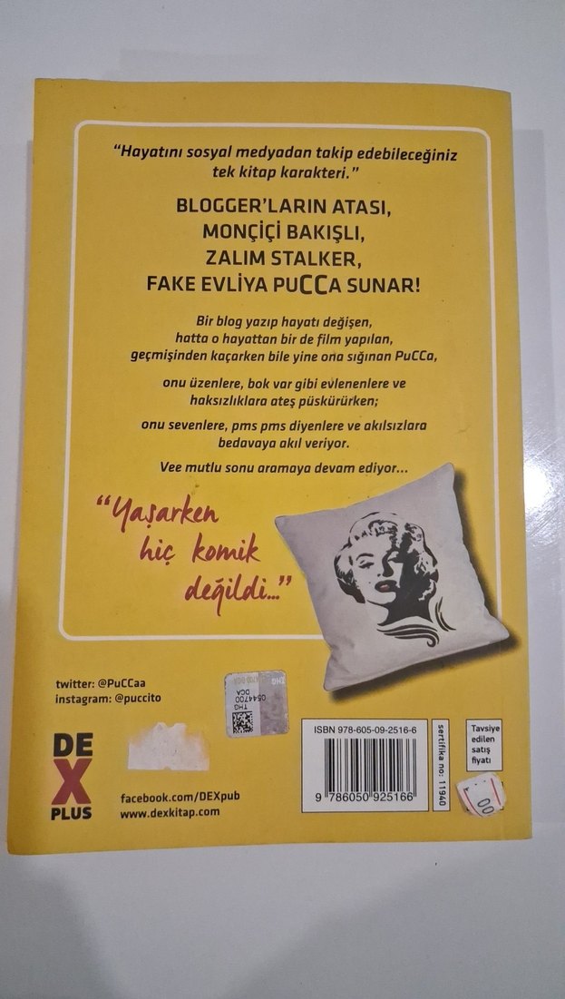 Pucca Günlük 5 - O Adam Buraya Gelecek - Görsel 4