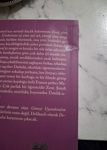 Güneşi Uyandıralım - José Mauro de Vasconcelos - Görsel 6