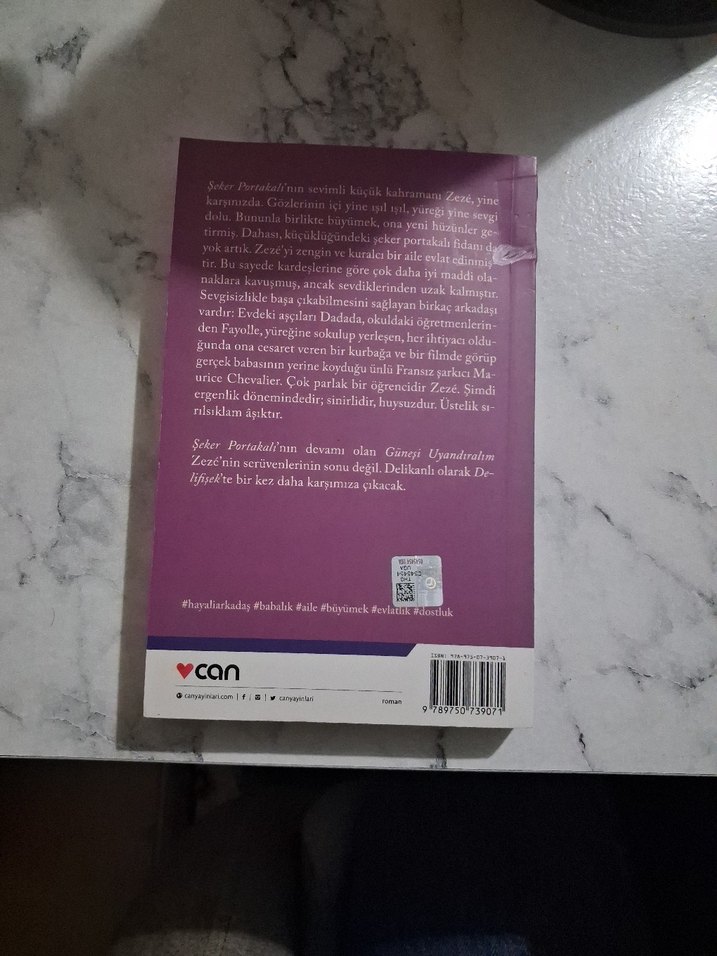 Güneşi Uyandıralım - José Mauro de Vasconcelos - Görsel 5