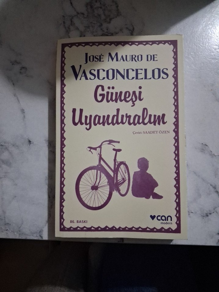 Güneşi Uyandıralım - José Mauro de Vasconcelos - Görsel 4