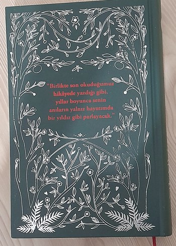 L. M. Montgomery Yeşilin Kızı Anne 1 - Ephesus Yayınları Ciltli - Görsel 6