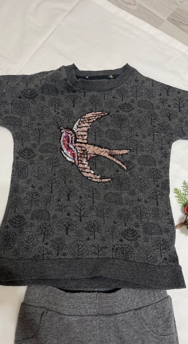 Nakış Detaylı Gri Kız Eşofman Takımı - Görsel 4