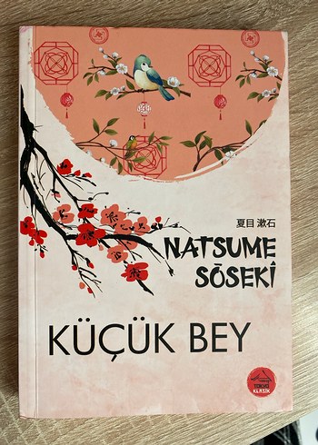 Natsume Soseki - Küçük Bey Romanı