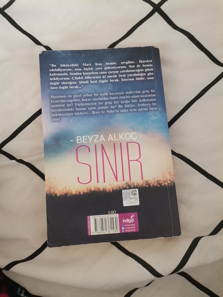 Sınır - Beyza Alkoç - Görsel 2