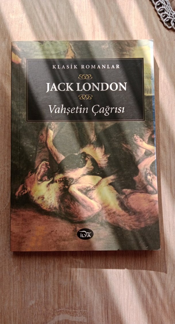 Vahşetin Çağrısı - Jack London - Görsel 2