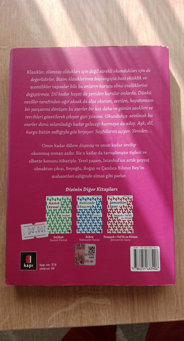 Recaizade Mahmut Ekrem - Araba Sevdası Romanı - Görsel 3