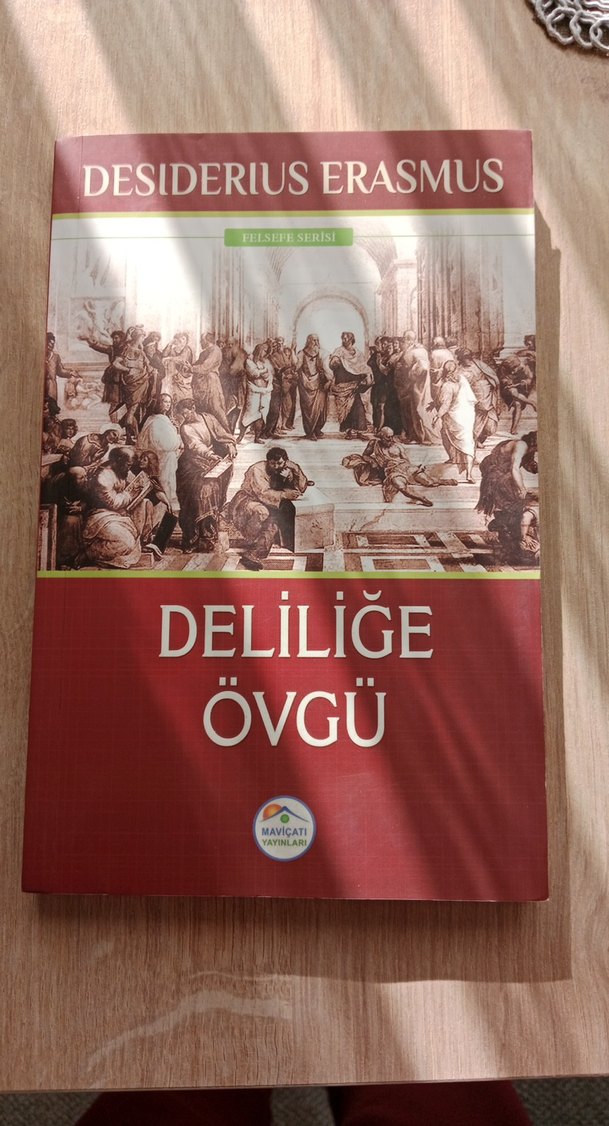 Deliliğe Övgü - Desiderius Erasmus - Görsel 2