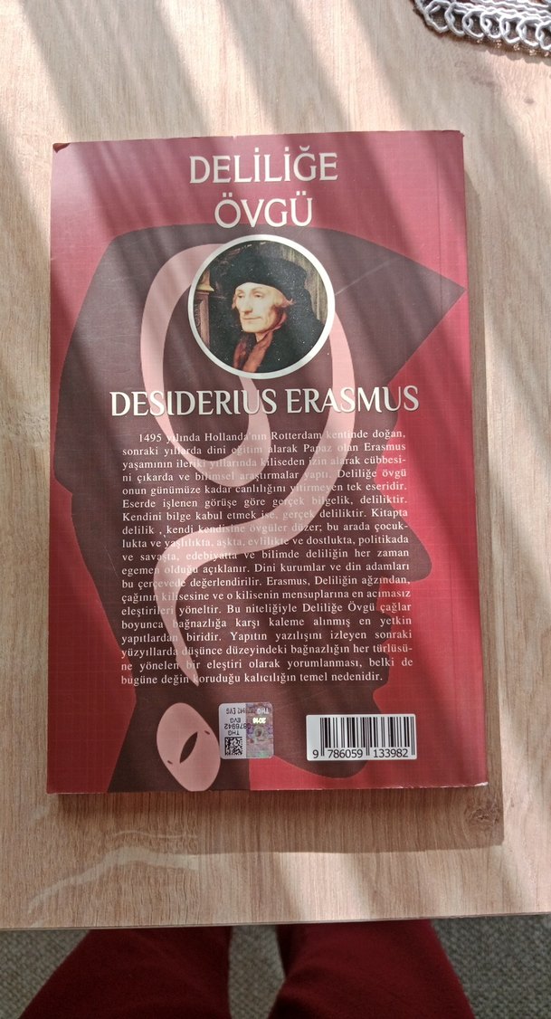 Deliliğe Övgü - Desiderius Erasmus - Görsel 3