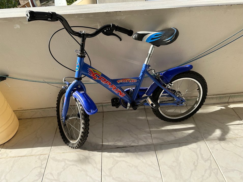 Mavi Renkli Çocuk Bisikleti Sepetli - Görsel 2