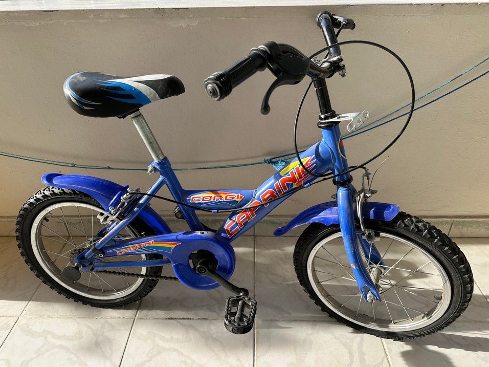 Mavi Renkli Çocuk Bisikleti Sepetli - Görsel 5