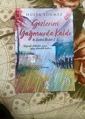 Gözlerim Yağmurda Kaldı - Hülya Sönmez