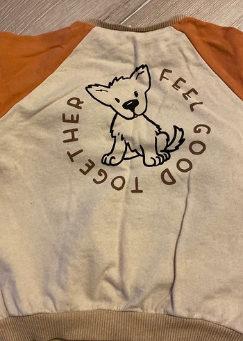 LC Waikiki Erkek Çocuk Uzun Kollu Pamuklu Sweatshirt