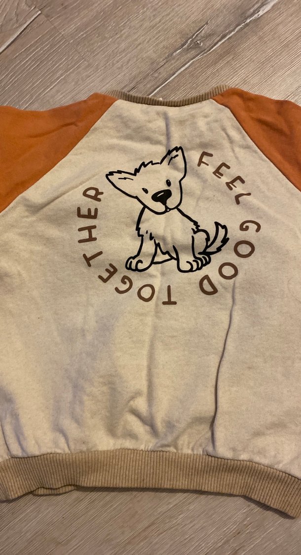 Erkek Çocuk Uzun Kollu Pamuklu Sweatshirt - Görsel 2