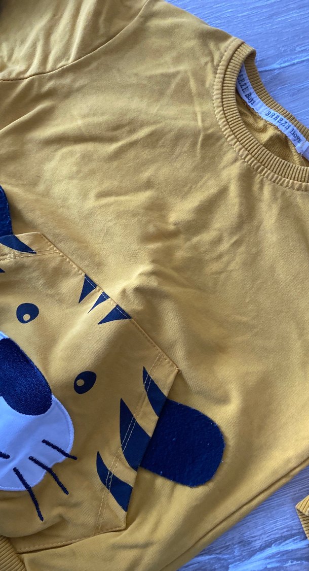 Sarı Erkek Çocuk Sweatshirt - Görsel 3