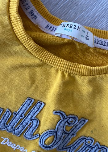 Sarı Erkek Çocuk Sweatshirt - Görsel 2