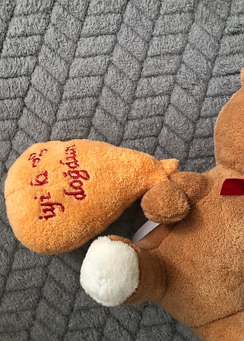 Kahverengi Yumuşak Oyuncak Ayı - Görsel 3