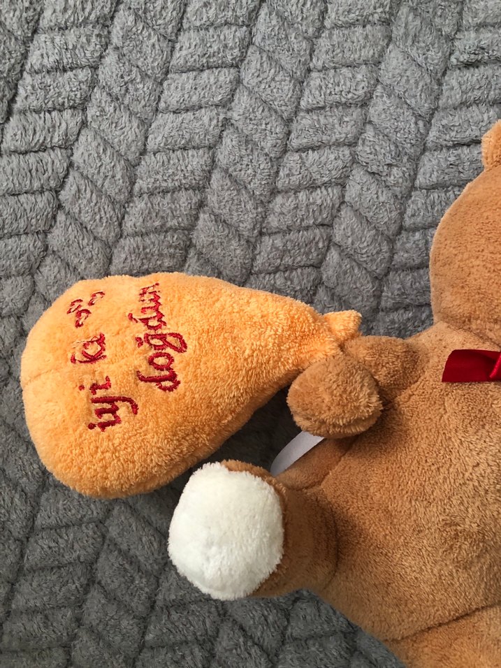 Kahverengi Yumuşak Oyuncak Ayı - Görsel 3