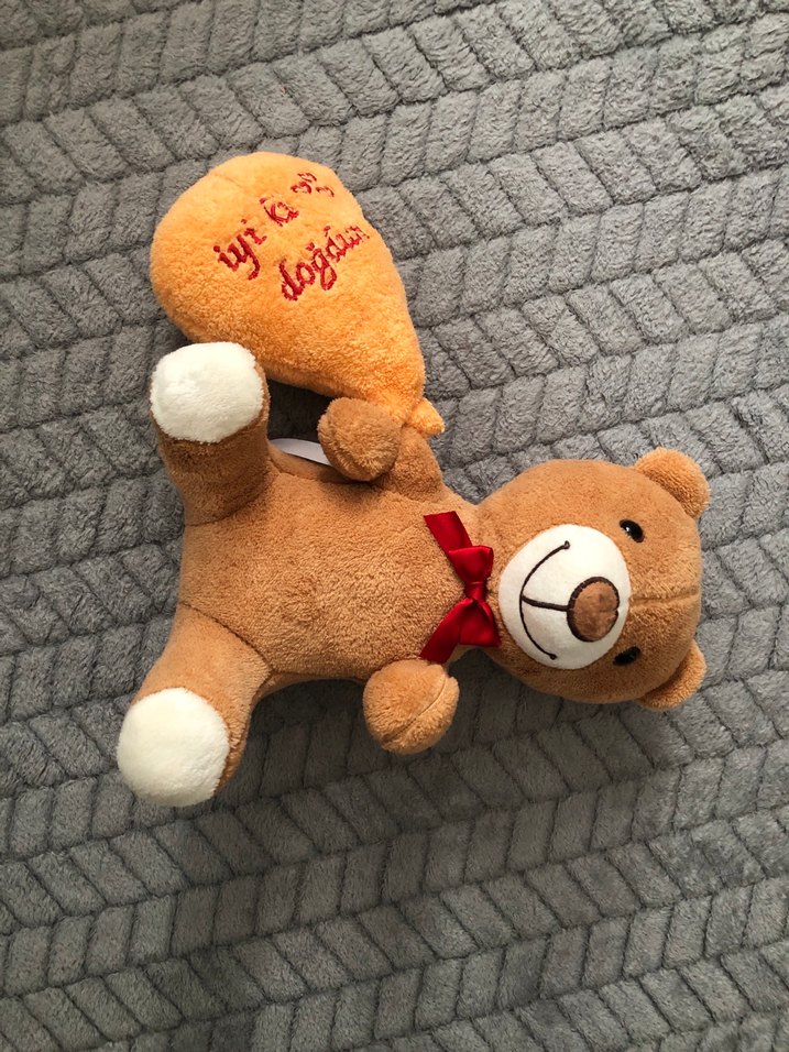 Kahverengi Yumuşak Oyuncak Ayı - Görsel 2