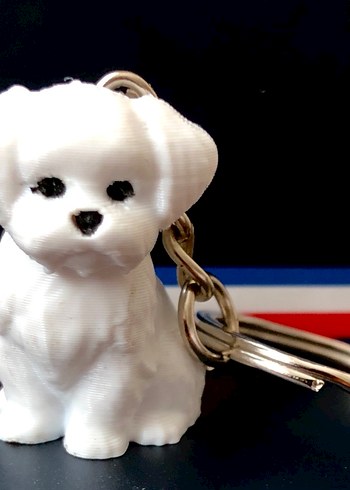 3D TASARIM ANAHTARLIKLAR TOPLU (10 Adet) - Görsel 6