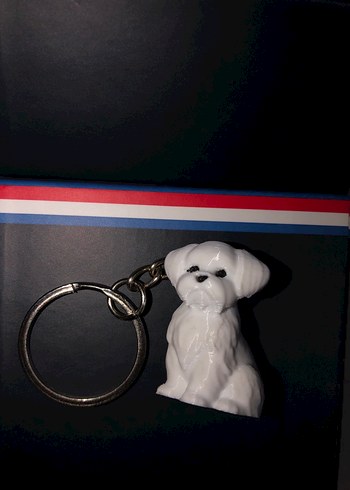 3D TASARIM ANAHTARLIKLAR TOPLU (10 Adet) - Görsel 11