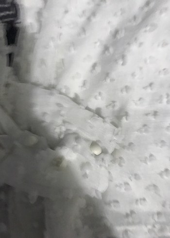 Beyaz Uzun Kollu Beyaz puantiye kolları tül  Kadın Bluz - Görsel 2